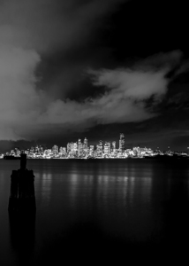 seattle city skyline at night  vertical 308 Sound