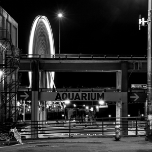 seattle ferris wheel at night  square 2677 Aquari