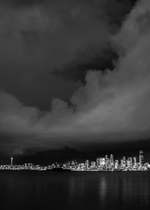 seattle skyline seacrest marina park  vertical 30