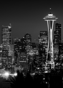 seattle skyline space needle  vertical 309 Space