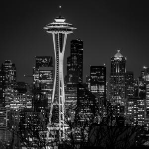 seattle space needle at night  square 299 Needle