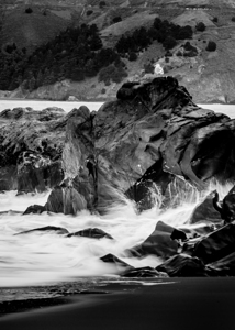 single sea gull on rocks pacific ocean  vertical