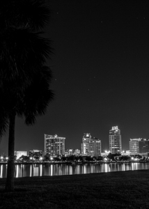 st petersburg skyline vinoy park  vertical 1150 V