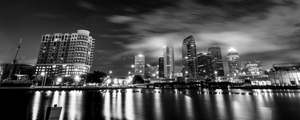tampa skyline at night  panoramic 1099 Bayshore 1