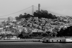telegraph hill coit tower bay bridge  horizontal