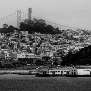 telegraph hill coit tower bay bridge  square 3331