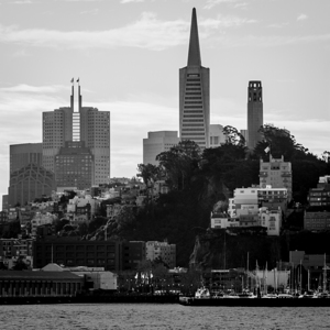 telegraph hill san francisco skyline  square 2892