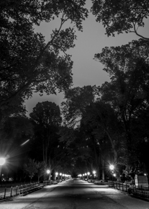 the mall central park  vertical 1466 Mall 13k