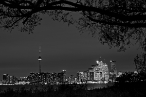 toronto skyline at night  horizontal 3024 Branche