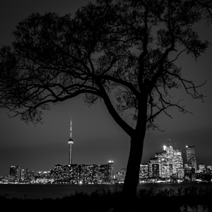 toronto skyline wards island  square 427 Wards 13