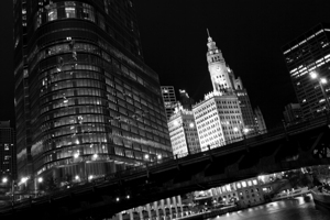 trump tower wrigley building at night  horizontal