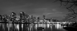 vancouver skyline over false creek  panoramic 320