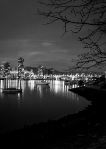 vancouver skyline over false creek  vertical 320
