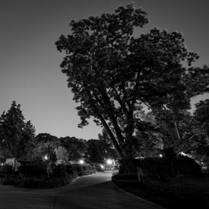 walking path us capitol building  square 2527 Sum