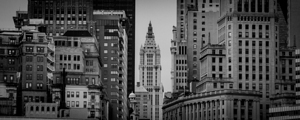 woolworth building manhattan  panoramic 1526 Wool