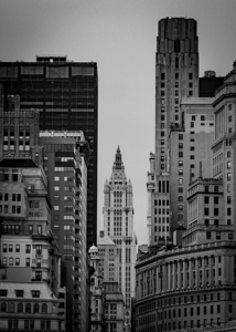 woolworth building manhattan  vertical 1526 Woolw