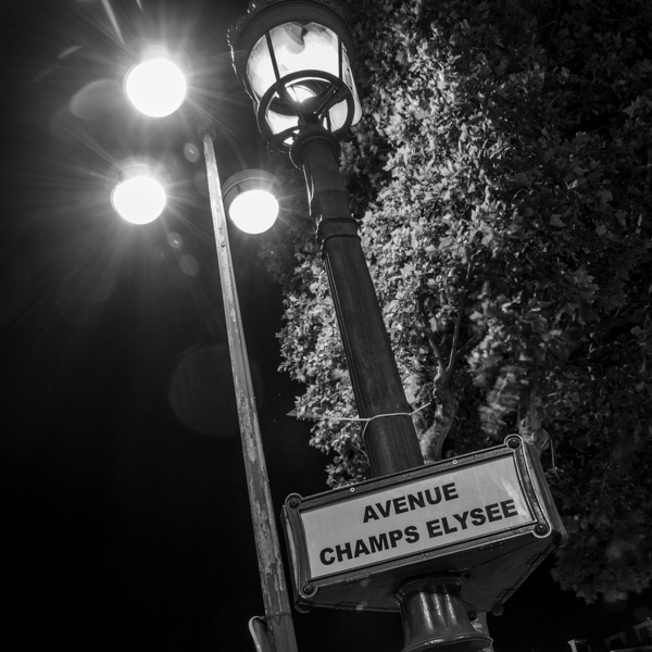 avenue champs elysee lamp post  square 2443 Elyse Print