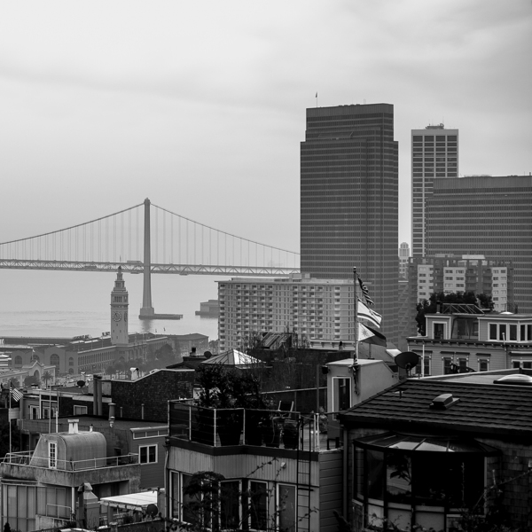 bay bridge telegraph hill  square 2038 Telegraph Print