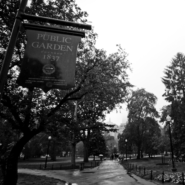 boston public garden  square 1378 Garden 13k Print