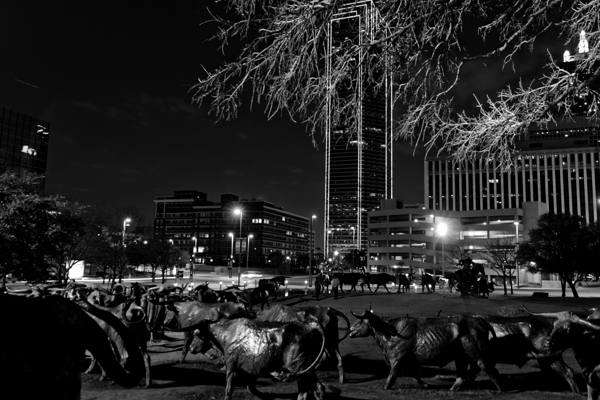 bronze cattle drive  horizontal 2118 Drive 13k.jp Print