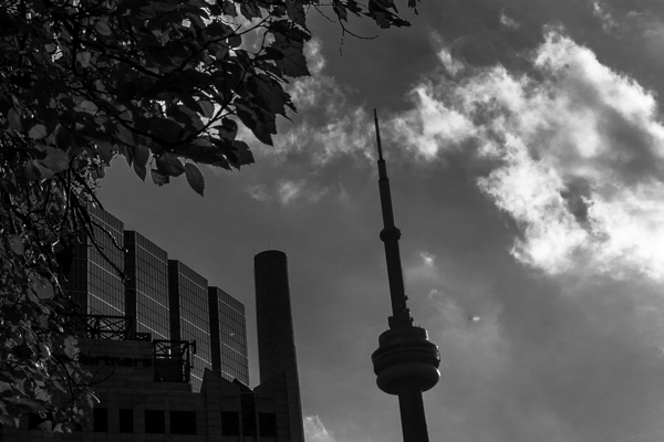 cn tower university avenue  horizontal 426 Univer Print