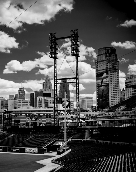 comerica park detroit skyline  vertical 557 Jungl Print