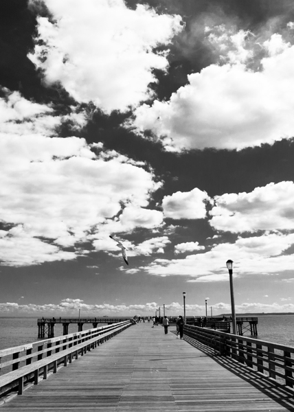 coney island pier  vertical 362 Gull 13k Print