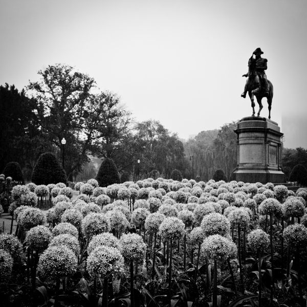 george washington statue public garden  square 13 Print