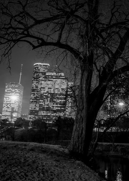 houston skyline in buffalo bayou  vertical 934 Oa Print