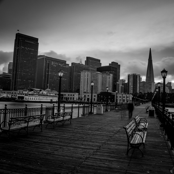 park benches pier 7  square 490 Benches 13k Print