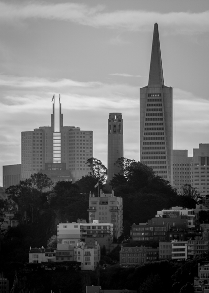 pioneer park coit tower telegraph hill  vertical Print