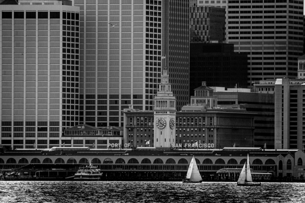 san francisco ferry building  horizontal 2849 Sai Print