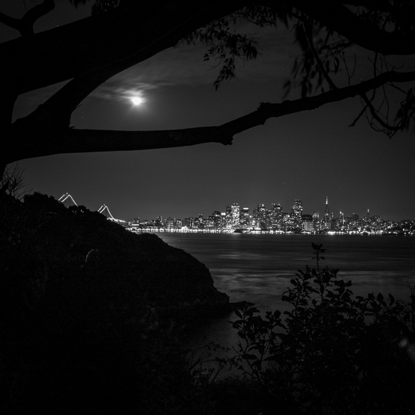 san francisco skyline from yerba buena island  sq Print
