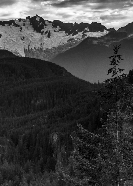 serratus mountain range squamish  vertical 2646 S Print