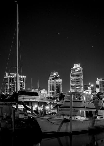 st petersburg skyline and marina  vertical 1138 E Print