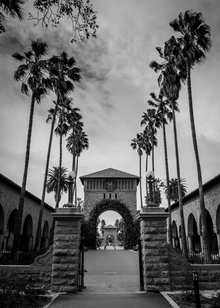 stanford main quad  vertical 2896 Quad 13k Print