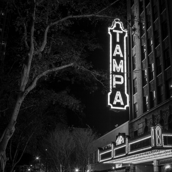 tampa theater at night  square 3006 Zack 13k Print