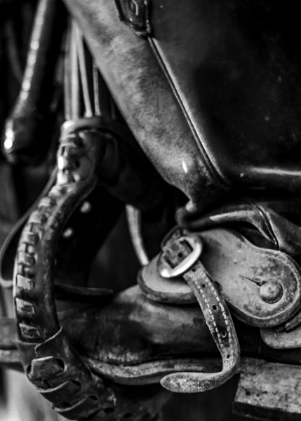 texas cowboy boot in stirrup  vertical 818 Stirru Print