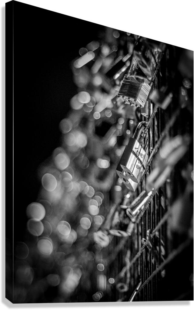 paris love locks at night  vertical 2484 Jevelle Canvas Print