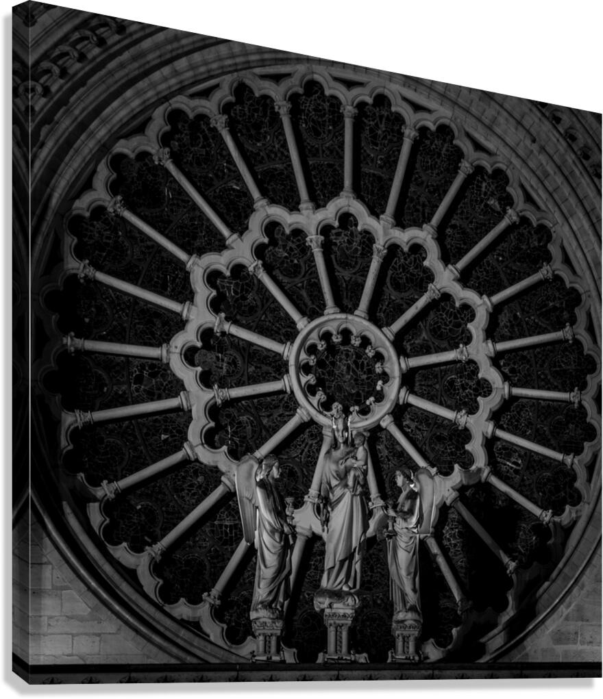 rose on notre dame de paris  square 2479 Rose 13k Canvas Print