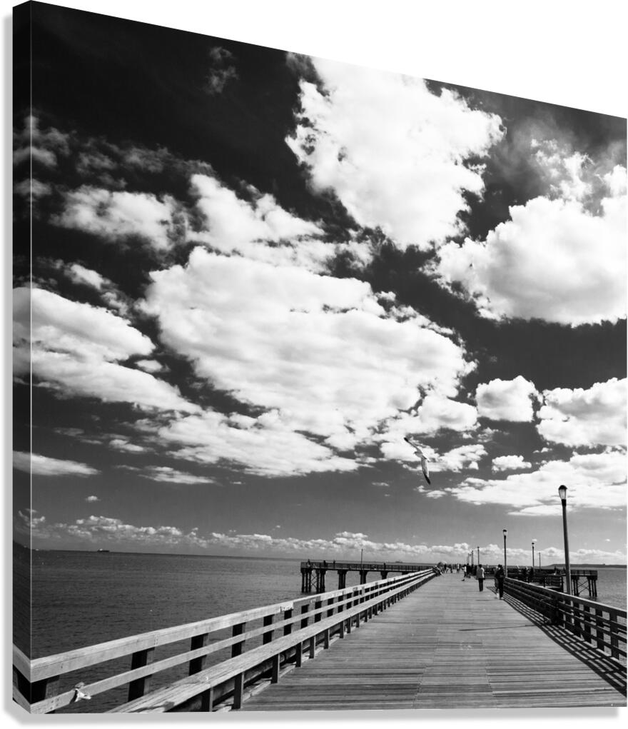 coney island pier  square 362 Gull 13k Canvas Print