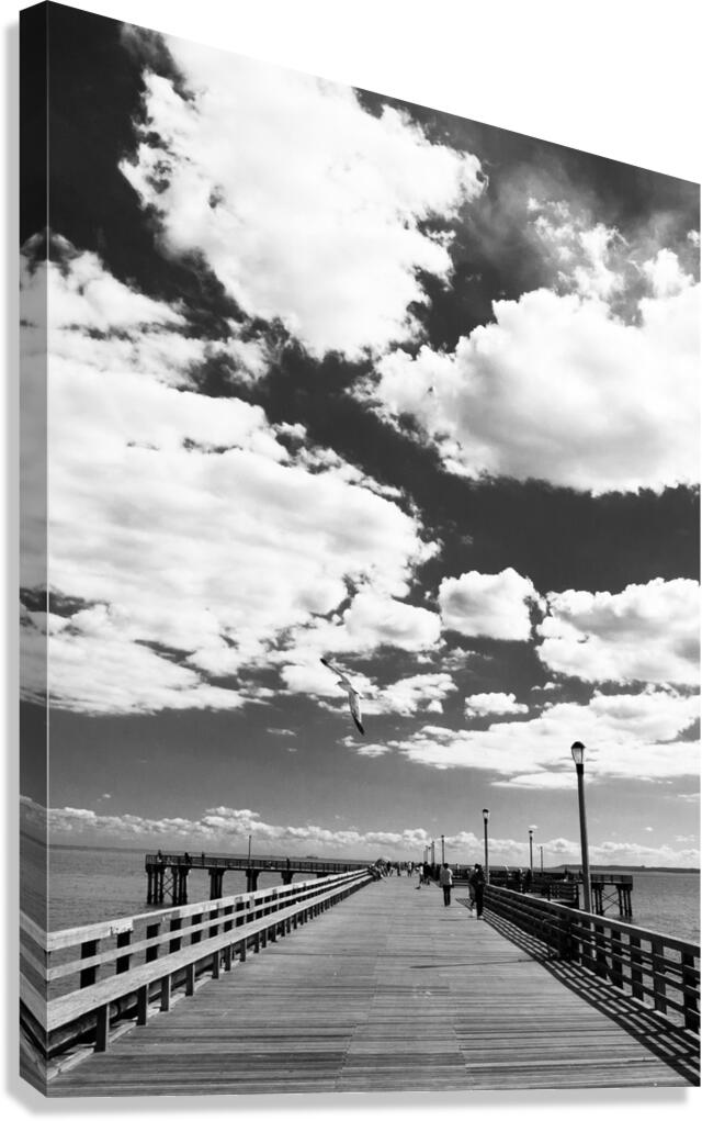 coney island pier  vertical 362 Gull 13k Canvas Print