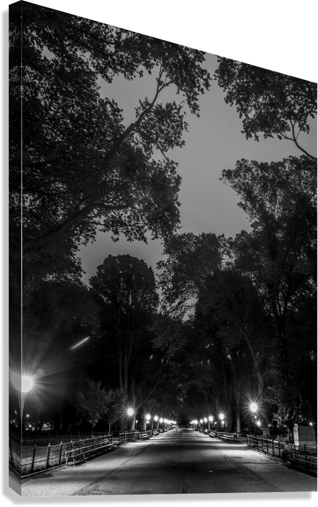 the mall central park  vertical 1466 Mall 13k Canvas Print