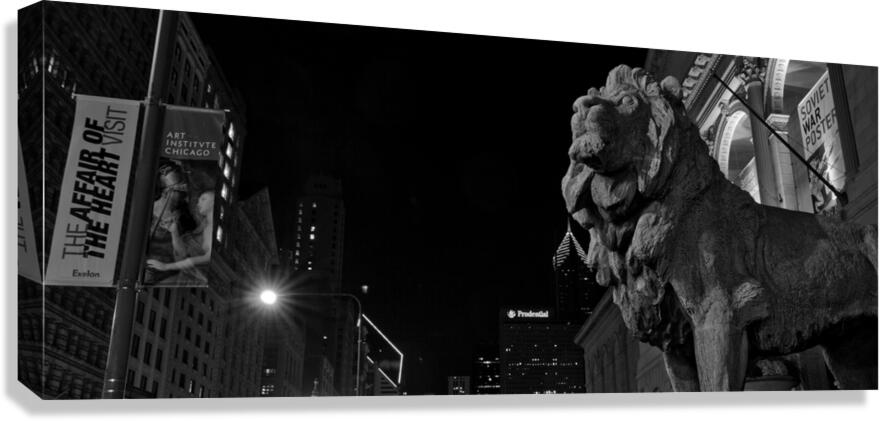 chicago art institue lion  panoramic 1195 Institu Canvas Print