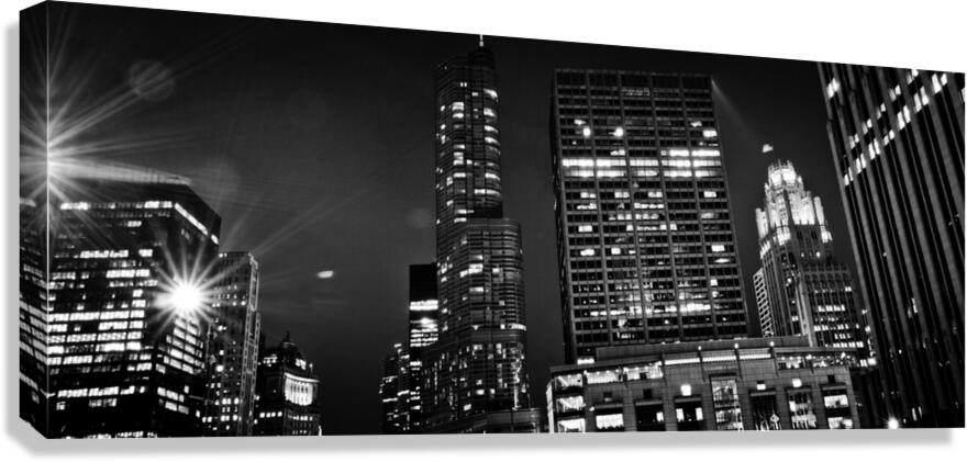 chicago city skyline from university of chicago   1708104174.3203 Canvas Print