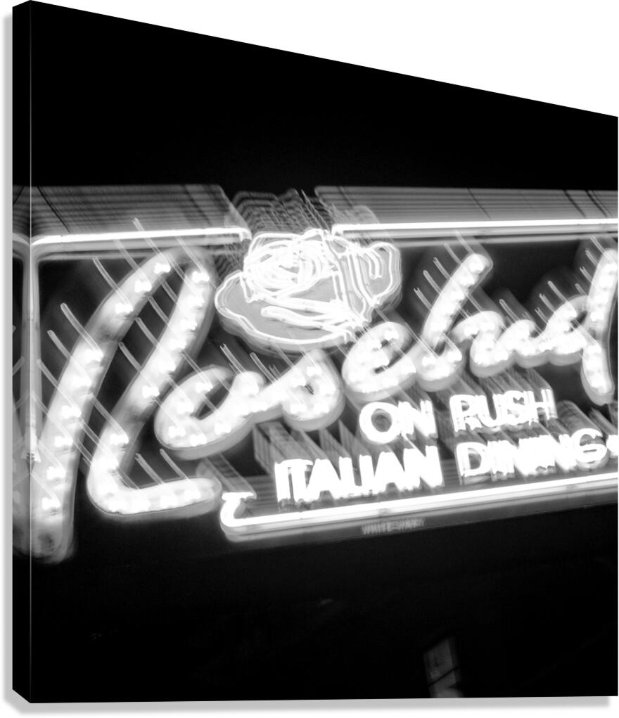 rosebud on rush  square 78 Rosebud 13k Canvas Print