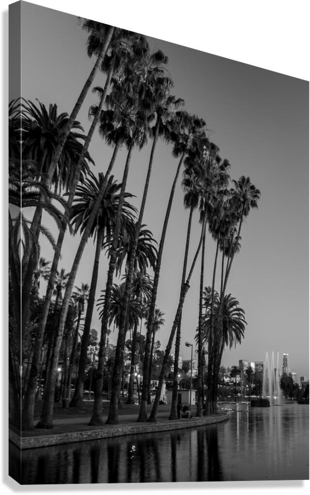 tall palm trees echo park  vertical 2182 Montrose Canvas Print