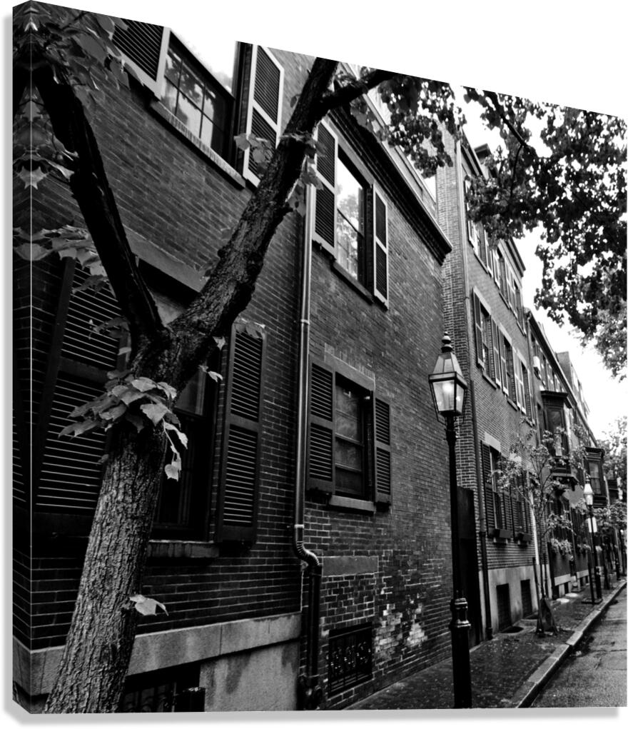 cedar street beacon hill  square 1372 Cedar 13k.j Canvas Print
