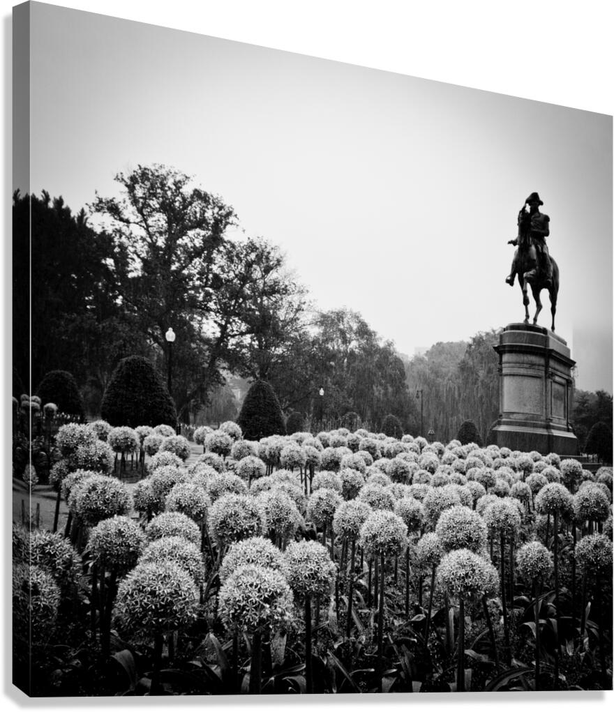 george washington statue public garden  square 13 Canvas Print