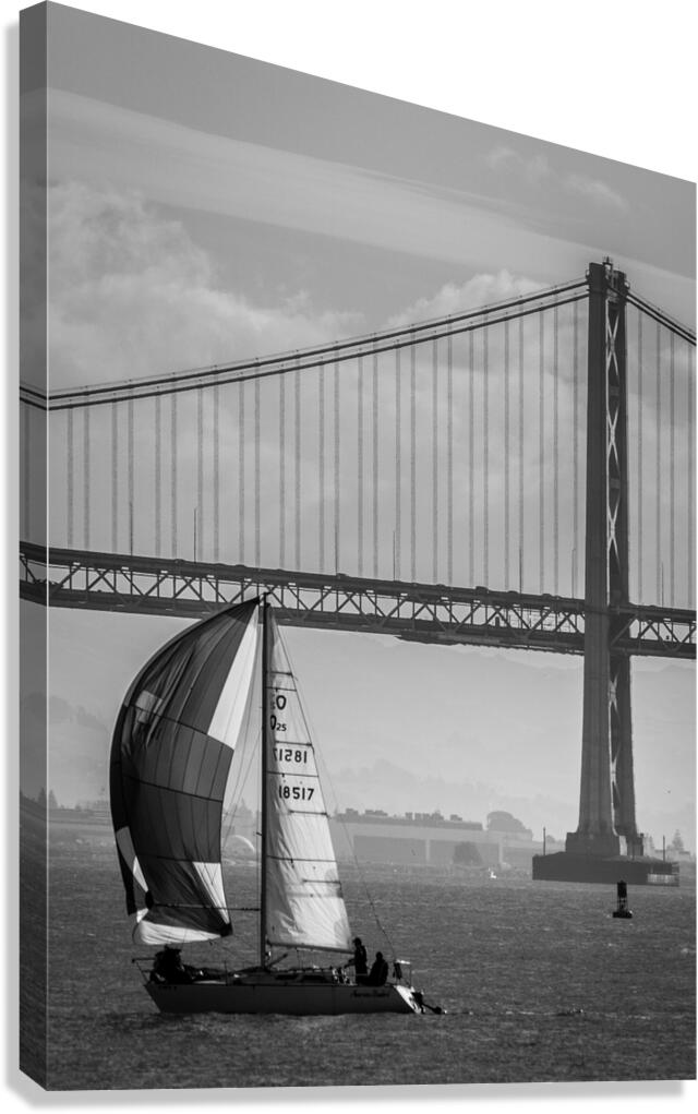 bay bridge and full sail boat  vertical 2766 Broa Canvas Print